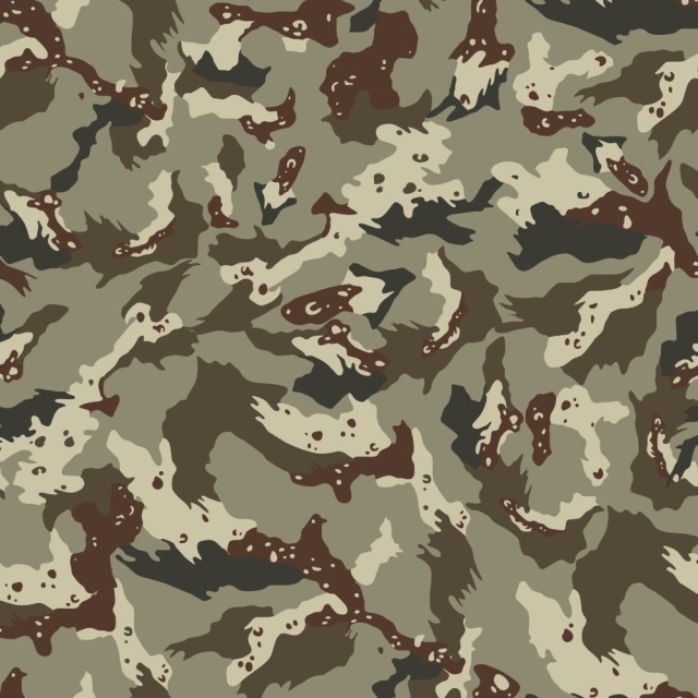 Tokyo Camouflage Pattern