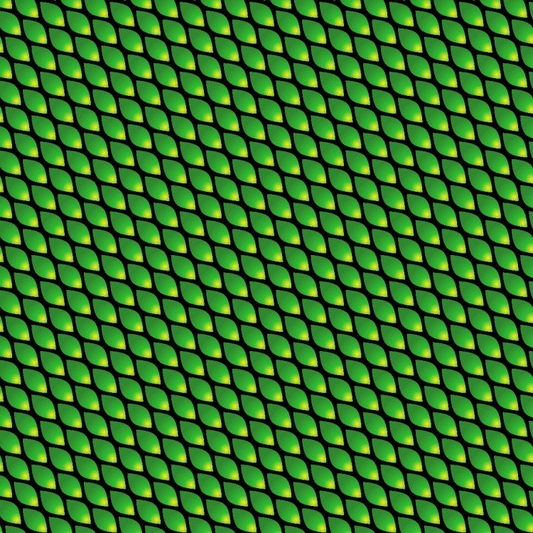 Green Mamba Snake Skin 26 Pattern