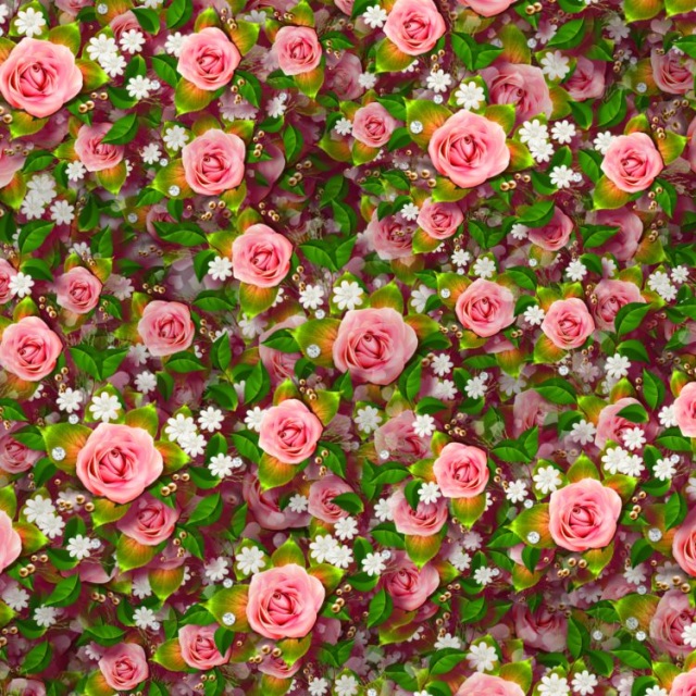 Pink Roses 20 Pattern